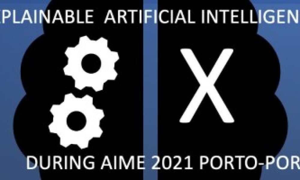 XAI-HEALTHCARE workshop: Explainable Artificial Intelligence in Healthcare